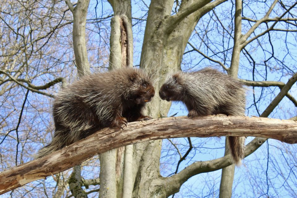 Foto: Monique Bartsch